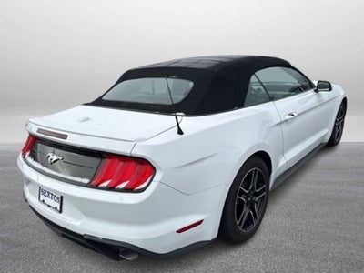 2022 Ford Mustang EcoBoost